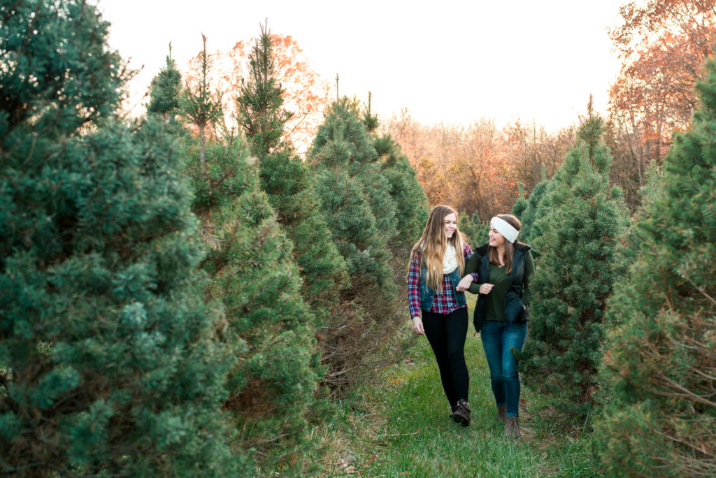 Christmas-tree-farm-session