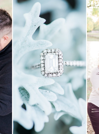 Alyssa + Brian | Botanical Gardens Engagement Session | St. Louis, Missouri