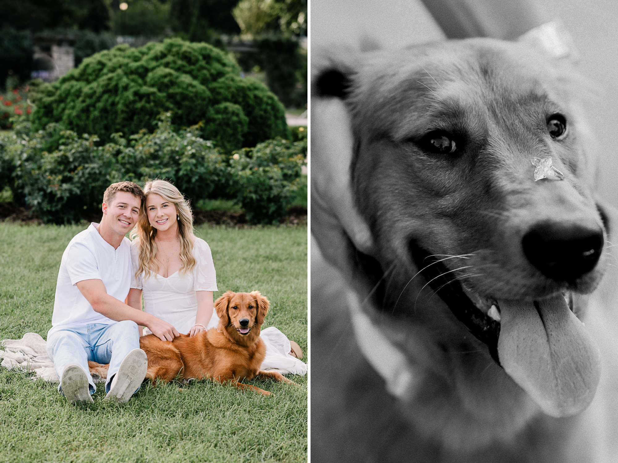Kansas-City-Missouri-Wedding-and-Engagement-Photographer-Morgan-Lee-Photography-Loose-Park-KC-MO